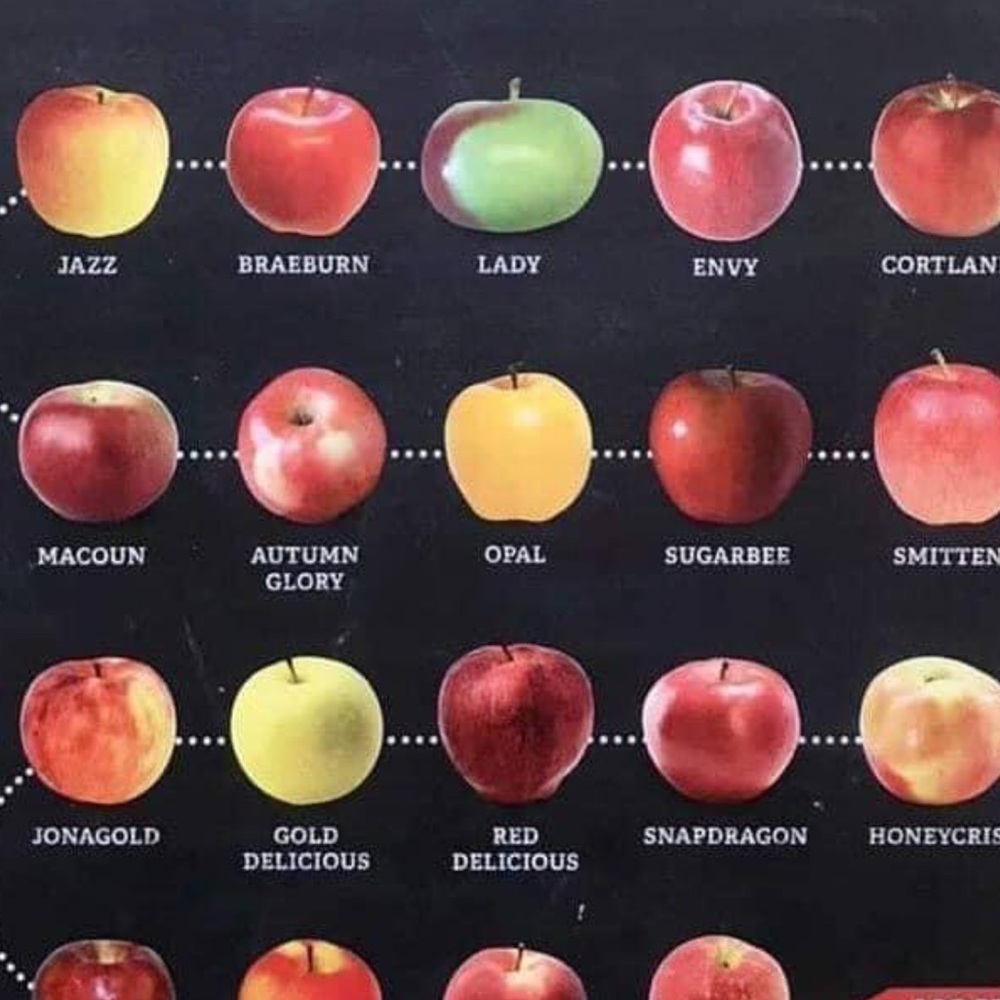 Meet your Posher, Natalya